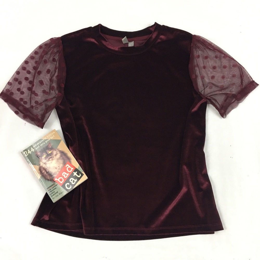ASOS Velvet Crew Neck Short Sleeve T Shirt 6